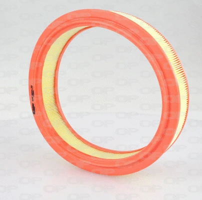 Air Filter (EAF3034.20)