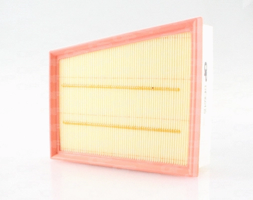 Air Filter (EAF3664.10)