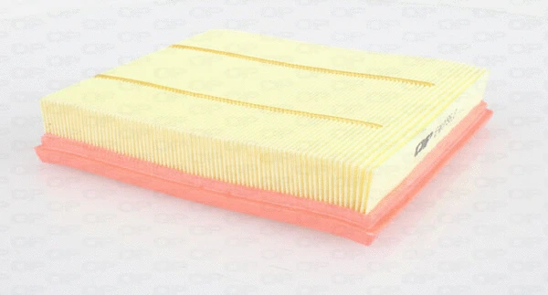 Air Filter (EAF3596.10)