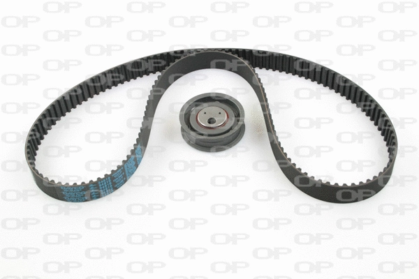 Timing Belt Kit (TBK5056.00)