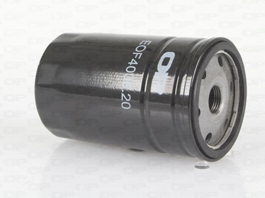 Oil Filter (EOF4036.20)