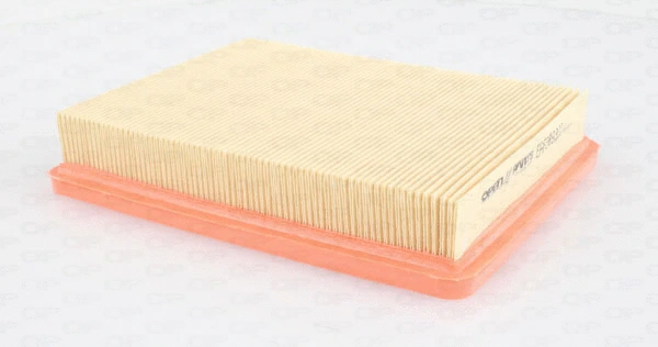 Air Filter (EAF3493.10)