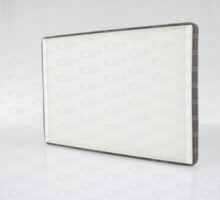 Filter, cabin air (CAF2106.01)