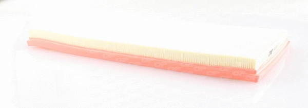 Air Filter (EAF3667.10)