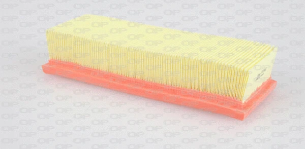 Air Filter (EAF3136.10)