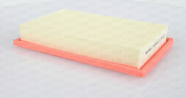 Air Filter (EAF3644.10)