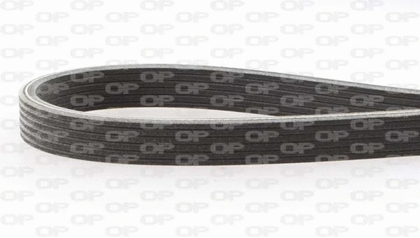 V-Ribbed Belt (PVBD1215.06)