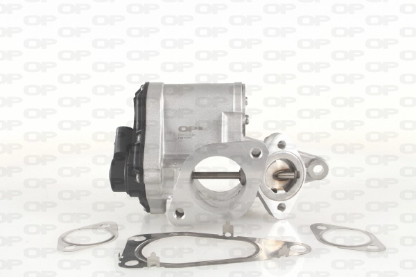 EGR Valve (EGR3033.00)