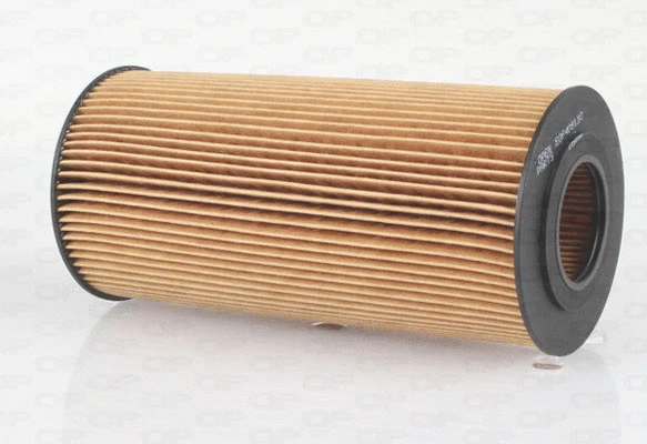 Oil Filter (EOF4081.10)