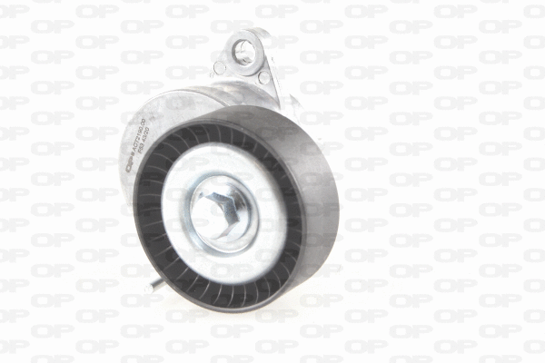 Belt Tensioner, V-ribbed belt (ACT2190.00)