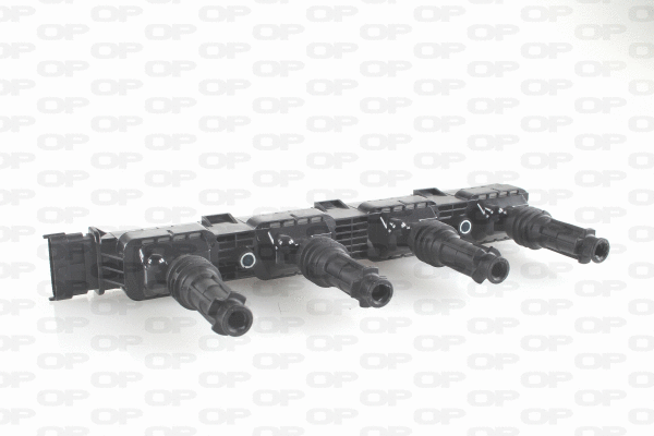 Ignition Coil (IGN1019.00)