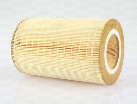 Air Filter (EAF3587.20)