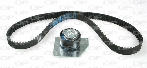 Timing Belt Kit (TBK5102.01)