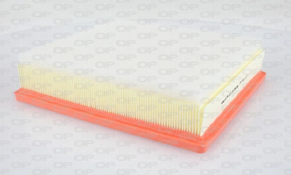 Air Filter (EAF3121.10)