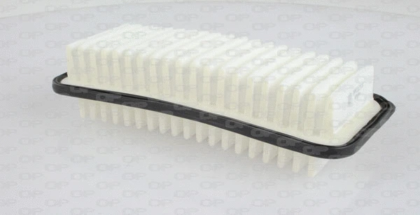 Air Filter (EAF3225.10)