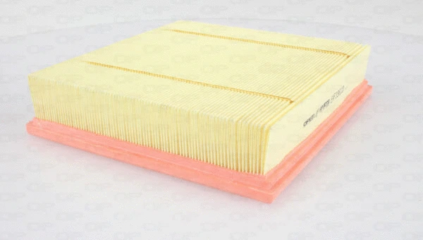 Air Filter (EAF3361.10)
