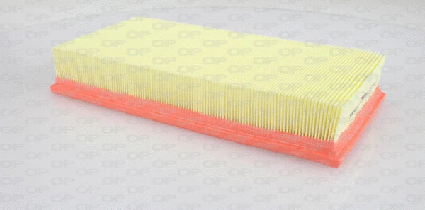 Air Filter (EAF3195.10)