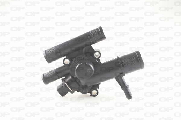 Thermostat, coolant (TRM1170.00)