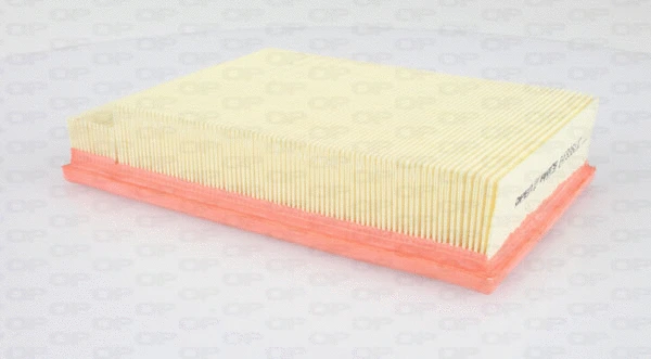 Air Filter (EAF3368.10)