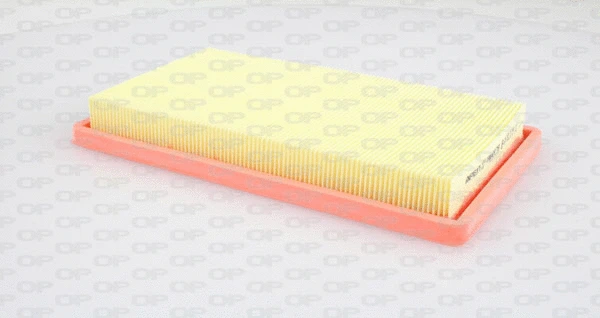 Air Filter (EAF3205.10)
