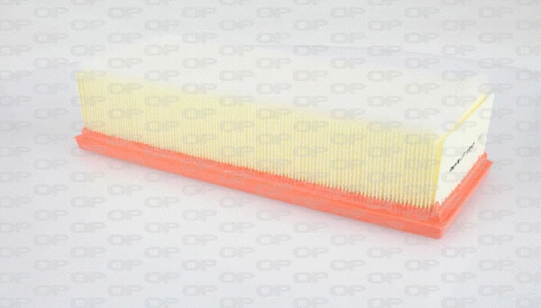 Air Filter (EAF3153.10)