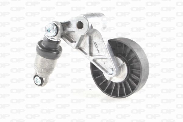 Belt Tensioner, V-ribbed belt (ACT2176.00)