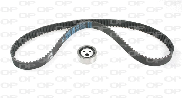 Timing Belt Kit (TBK5125.01)