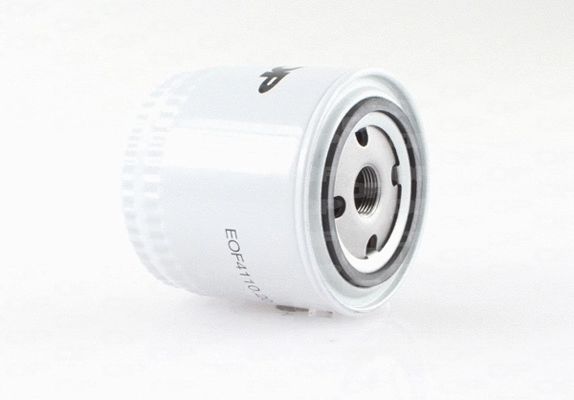 Oil Filter (EOF4110.20)