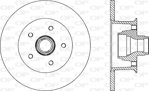 Brake Disc (BDR1576.10)
