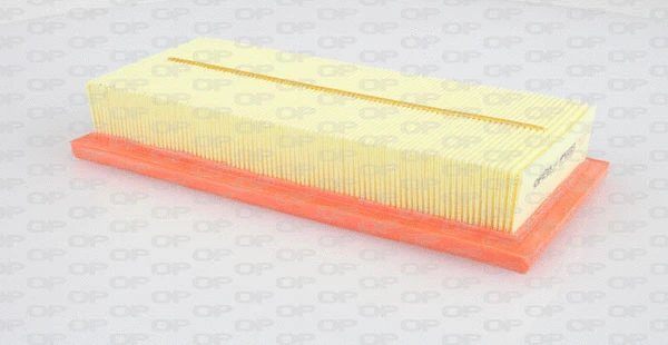 Air Filter (EAF3164.10)
