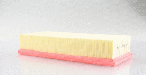 Air Filter (EAF3263.10)