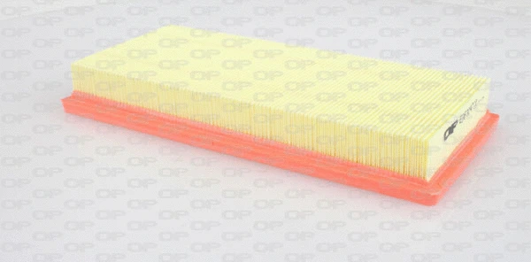 Air Filter (EAF3047.10)