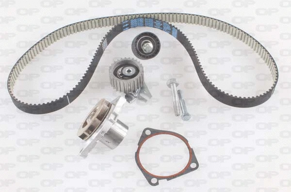 Water Pump & Timing Belt Kit (WTBK5039.00)