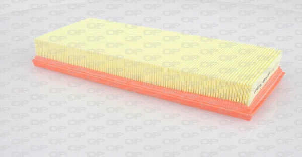 Air Filter (EAF3042.10)