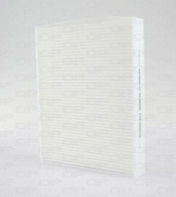 Filter, cabin air (CAF2021.01)