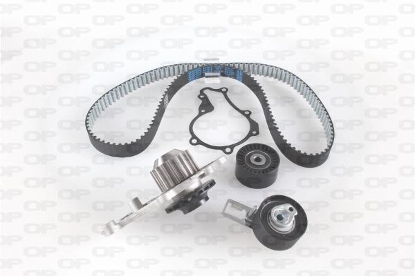 Water Pump & Timing Belt Kit (WTBK5161.00)