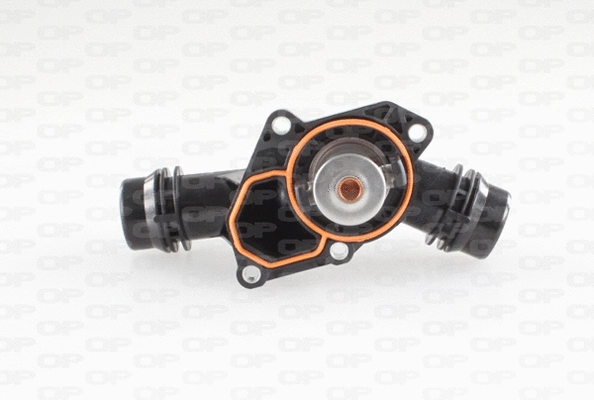 Thermostat, coolant (TRM1016.00)