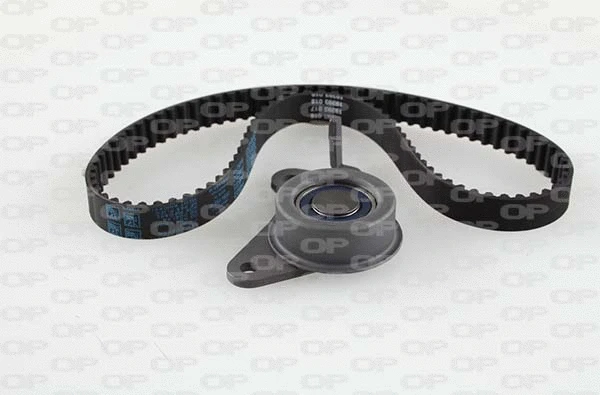 Timing Belt Kit (TBK5165.01)