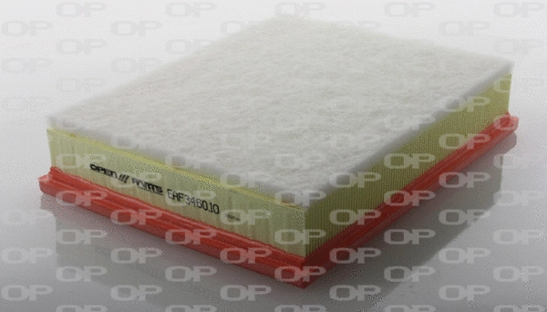 Air Filter (EAF3460.10)
