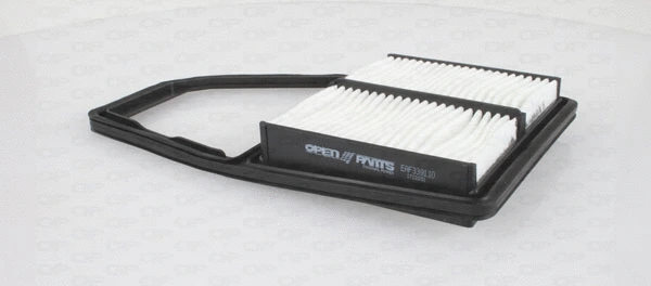 Air Filter (EAF3391.10)
