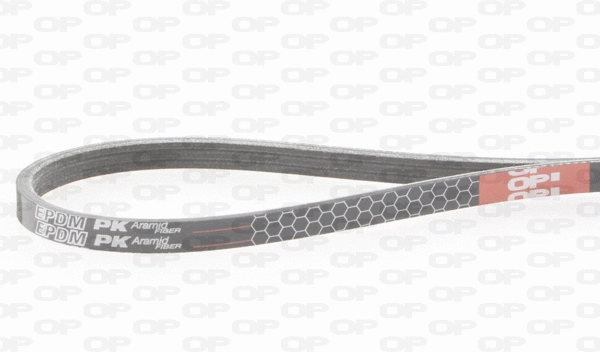 V-Ribbed Belt (PVB0736.03)