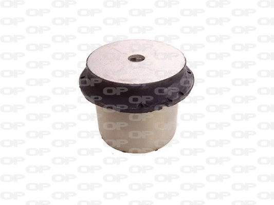 Bushing, axle beam (SSS1243.11)