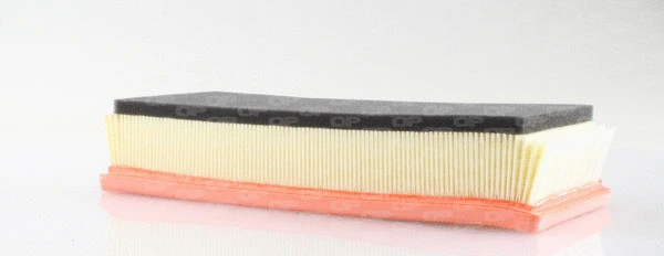 Air Filter (EAF3077.10)