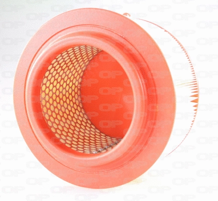 Air Filter (EAF3685.20)