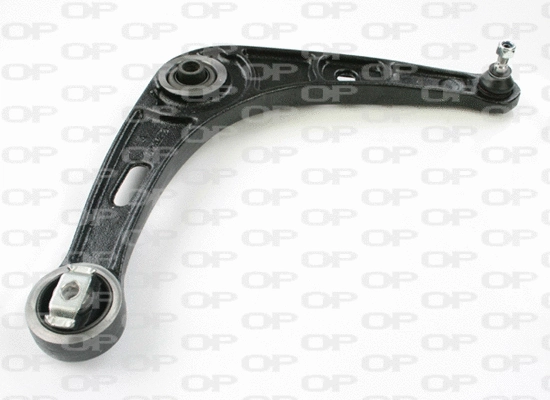 Control/Trailing Arm, wheel suspension (SSW1164.01)
