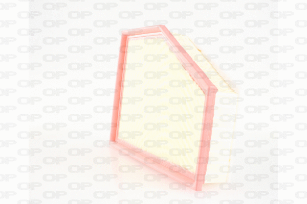 Air Filter (EAF3723.10)