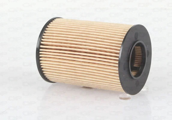 Oil Filter (EOF4070.10)