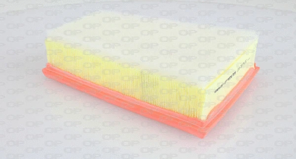 Air Filter (EAF3170.10)