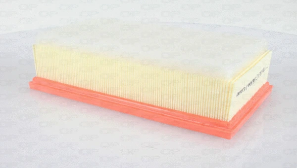 Air Filter (EAF3634.10)