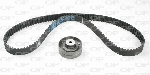 Timing Belt Kit (TBK5108.01)